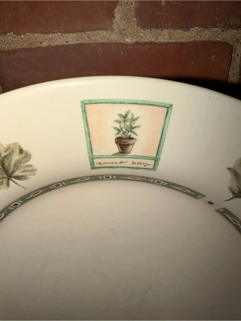 Pfaltzgraff Green Botanical Pattern Ceramic Dinner Plates Set of 14 (7 Each)